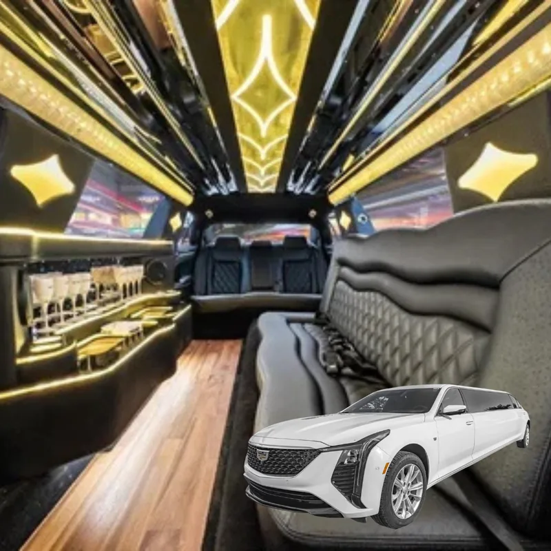 10 Passenger Limo