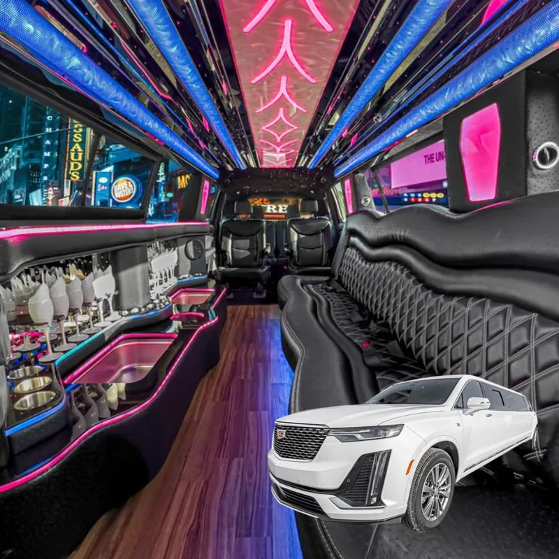 14 Passenger Limo